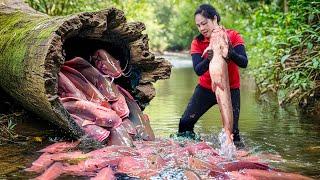 Harvesting Red Catfish School & Go to Market Sell | How to trap fish in caves streams | Lý Thị Hằng