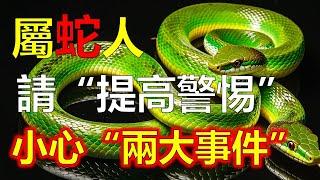 屬蛇人請“提高警惕”：需要小心“兩大事件”，不是迷信，屬蛇人早看早預防！生肖蛇將成大財主，躲不掉！屬蛇的夫妻許多危險，屬蛇夫妻都喜歡賺錢，十二生肖，生肖運勢（生肖）#生肖運勢 #生肖 #十二生肖