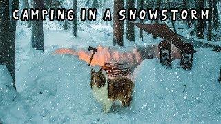 Winter Camping in a Snowstorm with My Dog