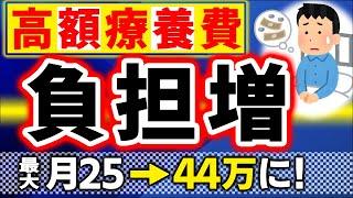 【衝撃改正速報！】来年8月より高額療養費の限度額が激変！自己負担､大幅増へ【会社員､個人事業主/社会･国民健康保険/マイナ保険証･医療費控除/制度見直しわかりやすく/70歳/具体例/2025･26】