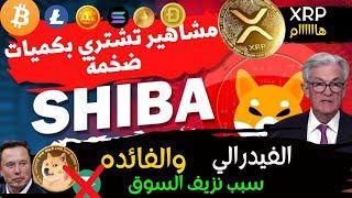 عاجل‼️xrp تحليل هااام  !الفيدرالي جعل الاسواق والبيتكوين  والعملات الرقميه البديله تنزف| doge-!2025