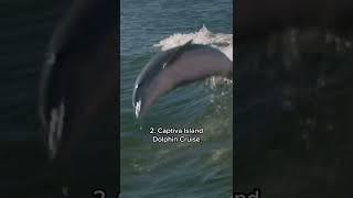4 places to spot wildlife near Fort Myers, Florida #shorts
