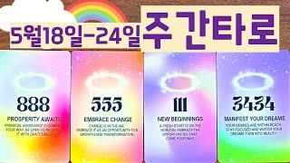[타로] 2025년 5월 18일~24일까지 주간타로!️