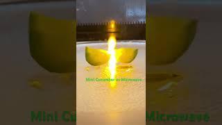 Mini Cucumber vs Microwave: Inspired by  #veritasium &  #nilered