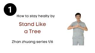 Zhan Zhuang - How to stay healthy by standing Like a tree (1/6)