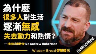 為什麼很多人對生活逐漸無感，失去動力和熱情？► 試試這個方法 - Dr Andrew Huberman 安德魯．休伯曼博士（中英字幕）