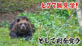 ヒグマ猟見学！そして肉を食う！