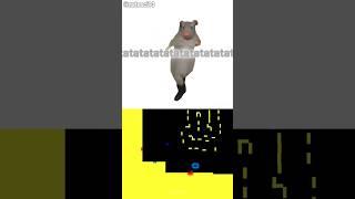 BBBB Big Bird, Sesame, Big Minge Energy, Ratata Taaa Taaa | Blue Bouncing Square