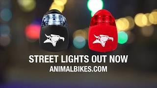 BMX - ANIMAL BIKES STREETS LIGHT PROMO