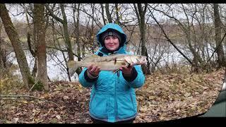 ЛОВЛЯ НА ПЕРЕМЕТ И НА ПЕРЕВЕРТКИ FISHING FOR burbot and pike perch