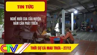 THỜI SỰ CÀ MAU TRƯA 27.12.2024 | NGHỀ NUÔI CUA CỦA HUYỆN NĂM CĂN PHÁT TRIỂN