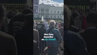 Pro-Palestine Americans protest in front of the White House