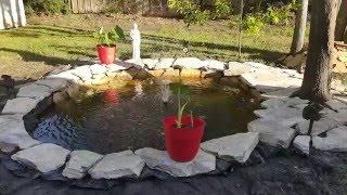 Koi Pond Progress!