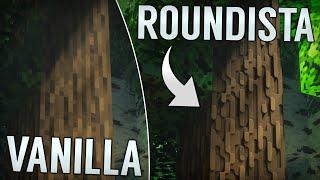 Comparing Roundista R9 LabPBR Texture Pack with Vanilla Minecraft