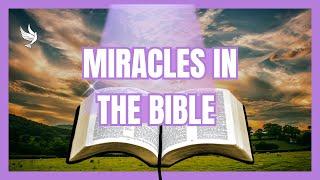 Top 10 Miracles in the Bible | Verse Inspire Weekly