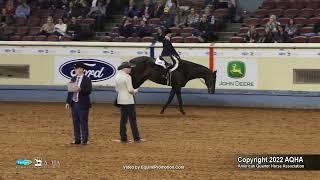 2022 Farnam AQHA and Adequan Select World Amateur Hunter Under Saddle