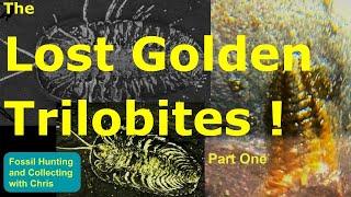 Lost Golden Trilobites ! The Beecher Trilobite Bed Pyritized Fossils, Fossil Hunting & Collecting