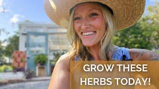 Medicinal Seeds Must Grows | Whispering Willow Farm