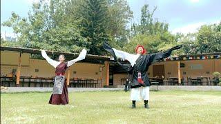 ནགས་ཤོད་འབྲི་རུའི་ཞབས་བྲོ། Tibet nagshod Driru folk dance.#driru #nashod #dance