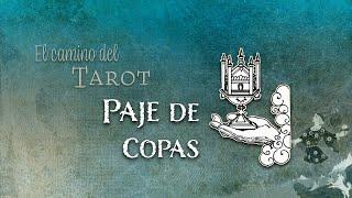 Simbología del Paje de Copas del Tarot Adytum.