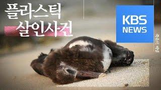 [크랩] 알바트로스 살해 사건의 진범은… / KBS뉴스(News)