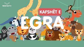  Kafshët e Egra për Fëmijë  Këngë Shqip për Fëmijë  Bubrreci TV #kafshët #kengeperfemije