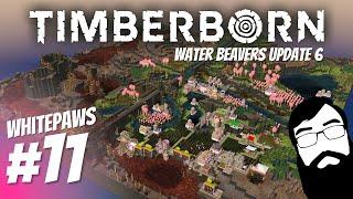 Stairs, storage and problem-solving! Waterbeavers Update 6 Episode 11