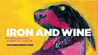 Iron & Wine - Flightless Bird, American Mouth  [LYRIC VIDEO Spanish/English] Subtitulado Español