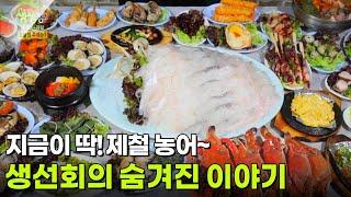 음식 X-파일 : 생선회의 숨겨진 이야기 [2TV 생생정보] | KBS 250519 방송