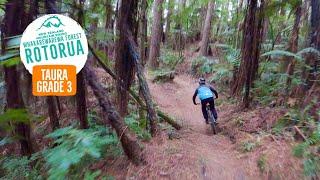 A great addition to the Whakarewarewa Forest Loop - Taura, Rotorua