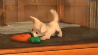 Bolt Gives CPR To Mr. Carrot!!
