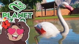 A Flock of FLAMINGOS Arrives!!  Daily Planet Zoo! • Day 2