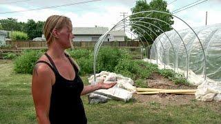 See How Urban Farming Works