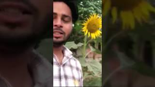 my shorts vlog tourist King Vip Rai  #funny #vlog #shorts #viral #trending