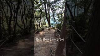 RUN TRIP 몰운대 트레일러닝 / 부산의 3대 해운대 태종대 몰운대