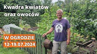 Co w ogrodzie 12-19 lipca 2024.