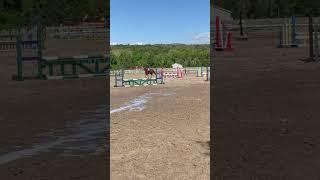 POV forgetting the first course : Please please please  #edit #horse #pony #equestrian #trending