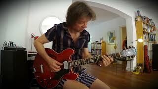 1974 Gibson ES-335 cherry