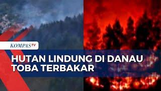 Kebakaran Hutan Lindung di Danau Toba Capai 100 Hektar
