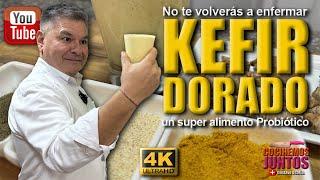 El secreto para no enfermarte KEFIR DORADO un super alimento Probiótico