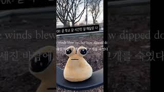 빌리 오 티
