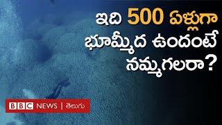 Pacific మహాసముద్రంలో 500 ఏళ్లనాటి Coral Reef కనుగొన్న శాస్త్రవేత్తలు.. అక్కడేముంది? | BBC Telugu