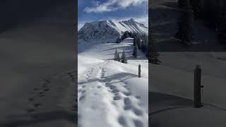 Snowshoeing at the Col de Soladier #myvaud #vaud #swisslifestyle