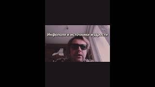 Где брать умные мысли #shorts