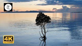 Our Beautiful Planet - Japan | Amazing Nature Scenery & The Best Relax Music - 4K