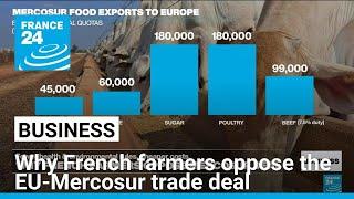 Why French farmers oppose the EU-Mercosur free trade deal • FRANCE 24 English