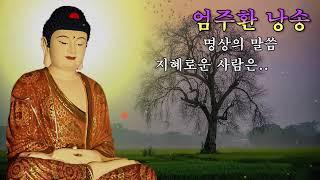 명상의 말씀, 지혜로운 사람은.. / 엄주환 낭송