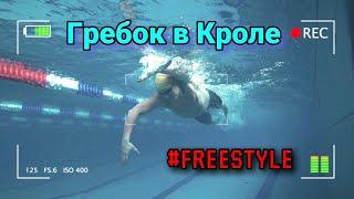 ГРЕБОК В КРОЛЕ, РАЗБОР ТЕХНИКИ #freestyle #плавание #swimming