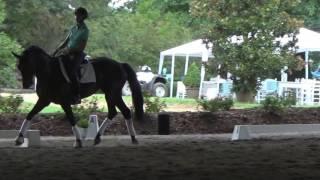 Clinic with Oded Shimoni, riding Haute Couture