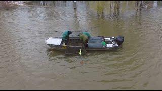 Great Lakes Muskellunge Survey - Thornapple Lake